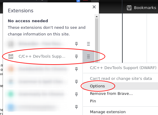 Wasm Debugging Options